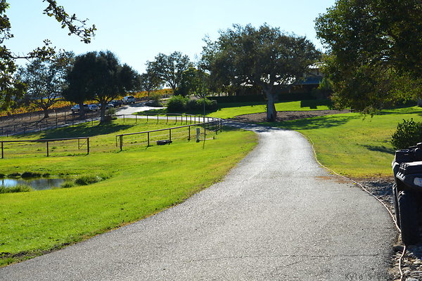 DSC 0385