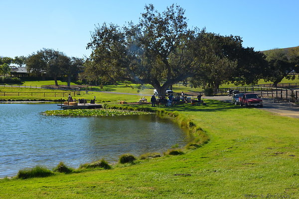 DSC 0278