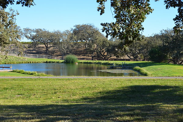 DSC 0433