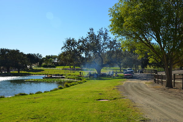DSC 0249