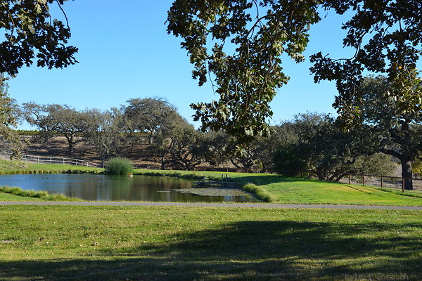 DSC 0428