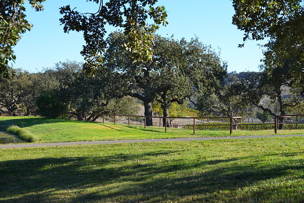 DSC 0431