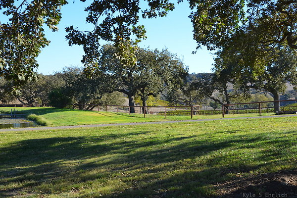 DSC 0430