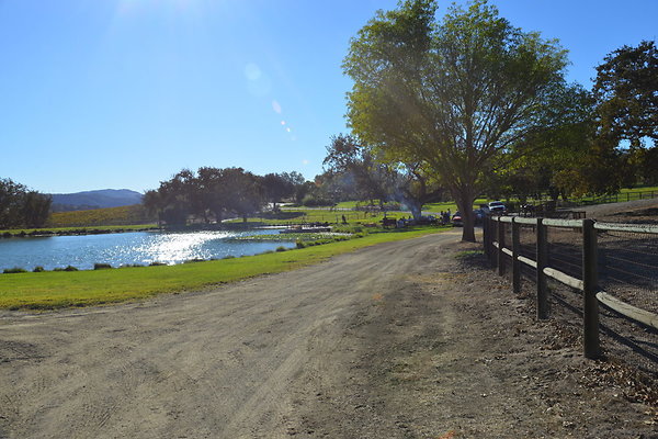 DSC 0234