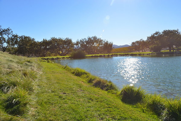 DSC 0288
