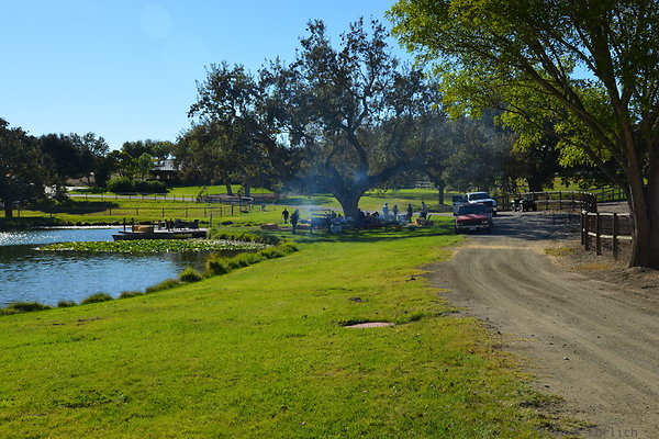 DSC 0246