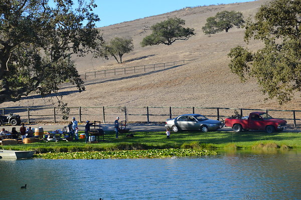 DSC 0302