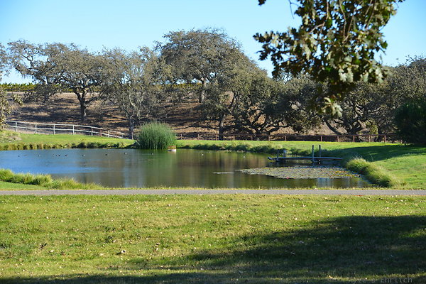 DSC 0434