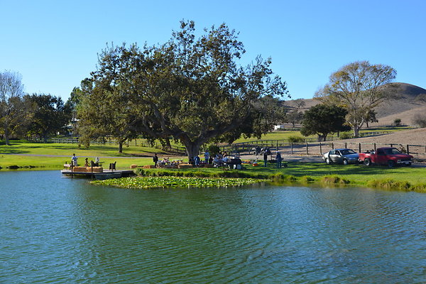DSC 0329