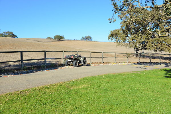DSC 0406