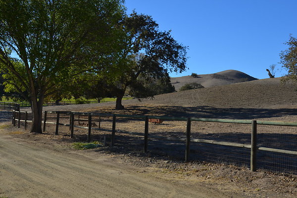 DSC 0250