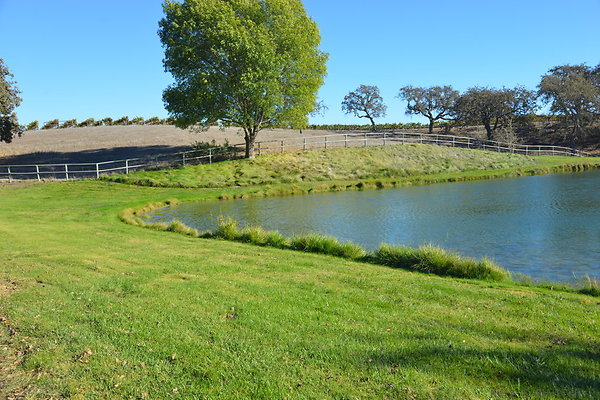 DSC 0345