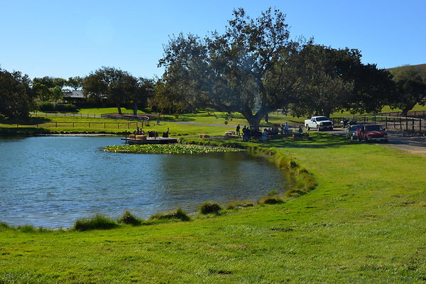 DSC 0273