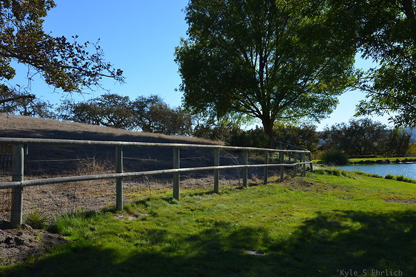 DSC 0257