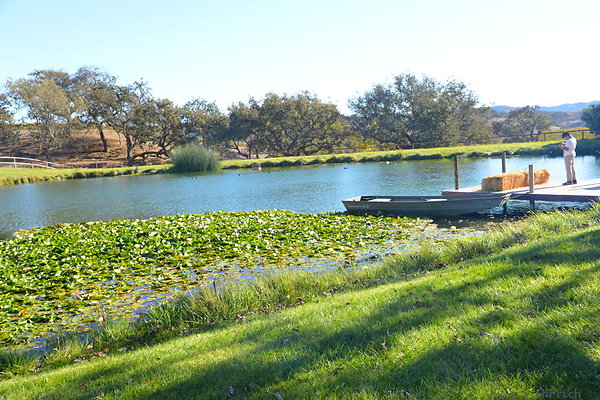 DSC 0360