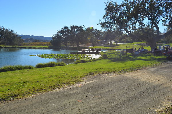 DSC 0336