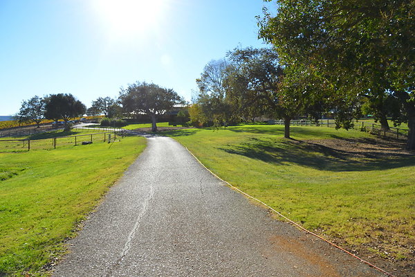 DSC 0401