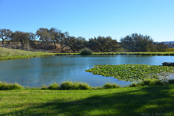 DSC 0346