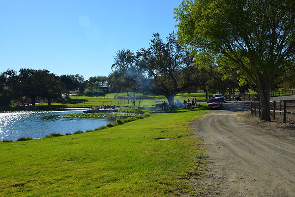DSC 0236
