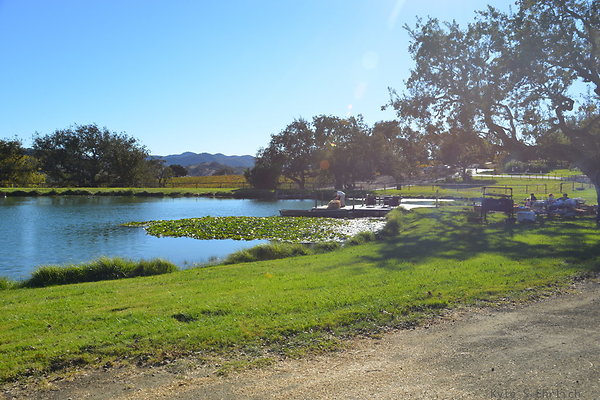 DSC 0338