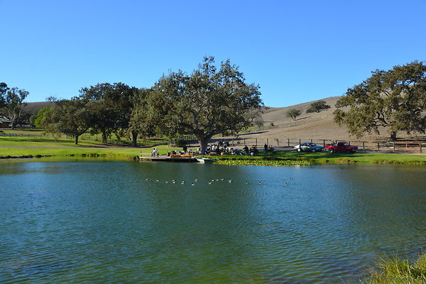 DSC 0320