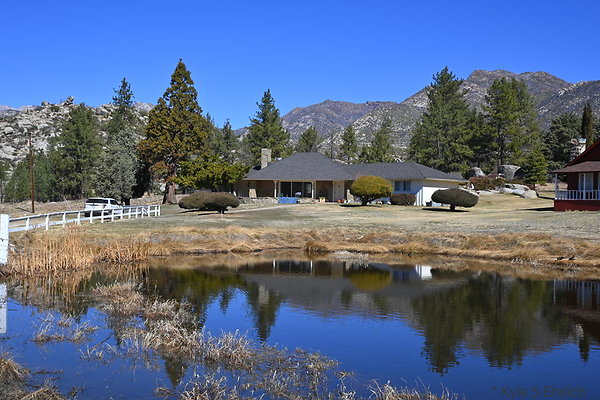 DSC 7342