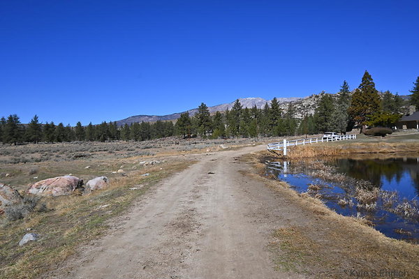 DSC 7350