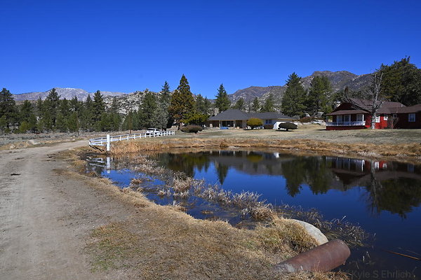 DSC 7351