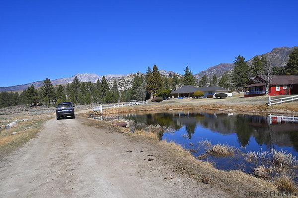 DSC 7328