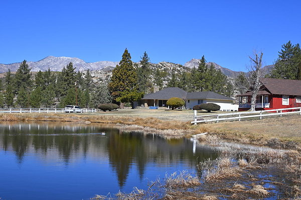 DSC 7308