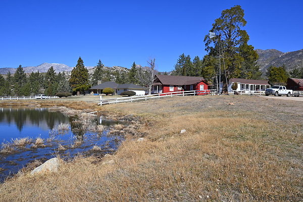 DSC 7302