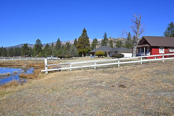 DSC 7284