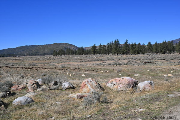 DSC 7334