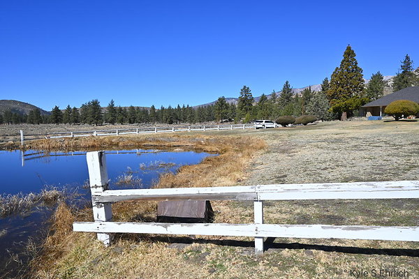 DSC 7275