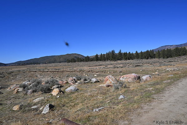 DSC 7349