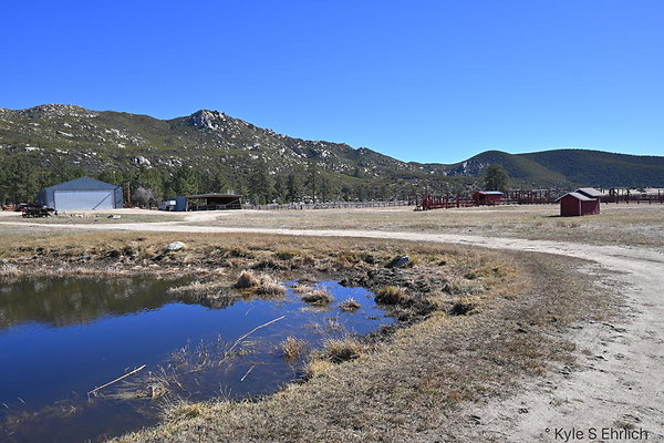 DSC 7330