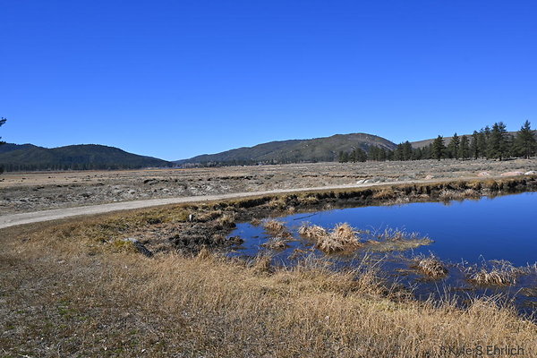 DSC 7300
