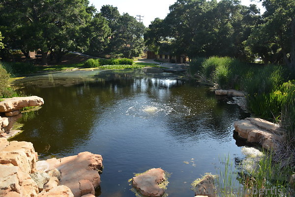 Rancho Deluxe Pond