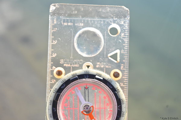 DSC 1557a