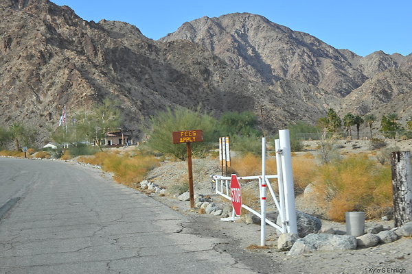 DSC 5058
