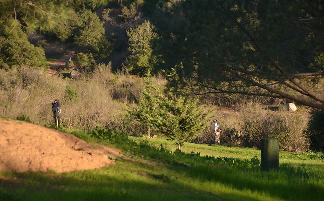 DSC 4194