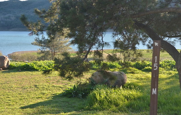 DSC 4185