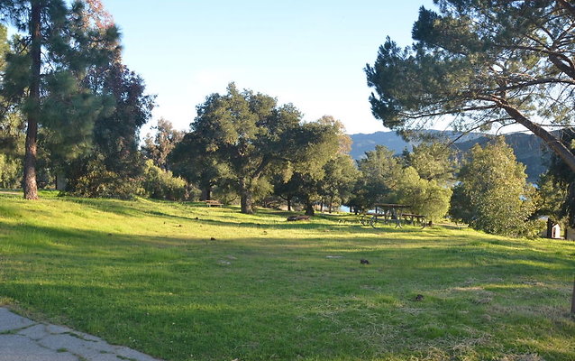 DSC 4161
