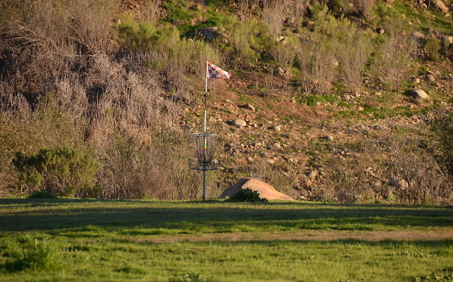 DSC 4196