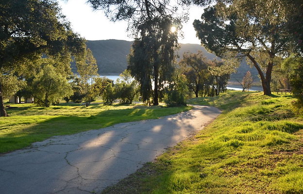 DSC 4212