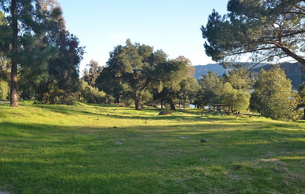 DSC 4160