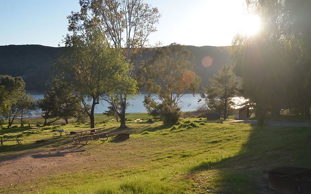 DSC 4208