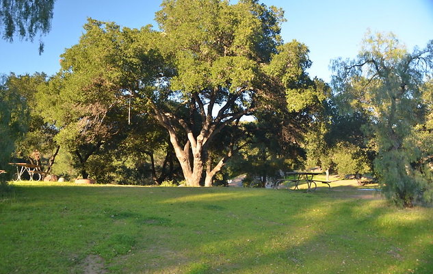 DSC 4214