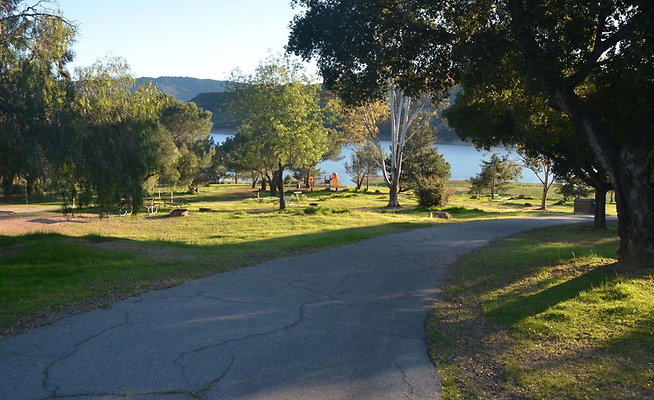 DSC 4209
