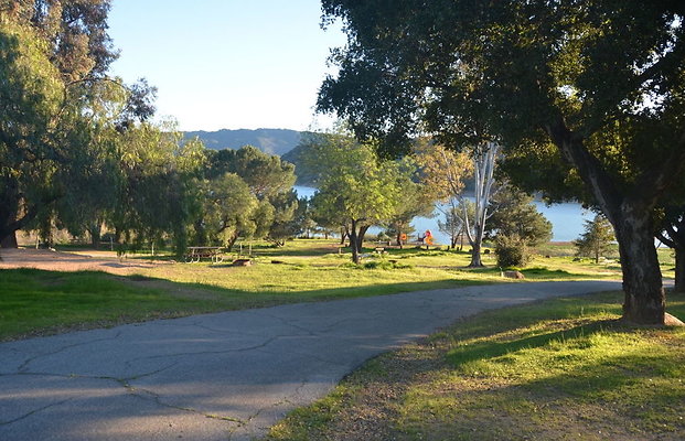 DSC 4210